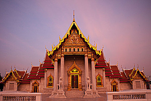 soi cau tuan vu 668