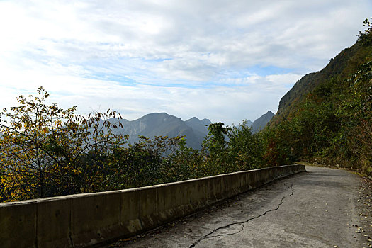 quay thu mn