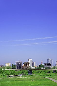 dự đoán xổ số hồ chí minh