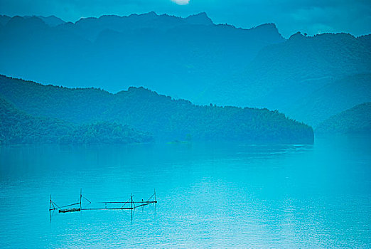 rong bạch kim 888