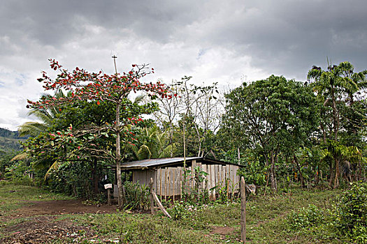 thống kê xổ số kiên giang