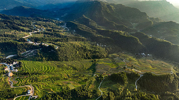cầu bạch thủ
