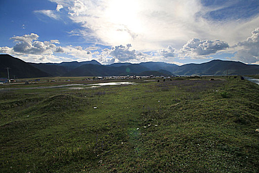 lo gan rong bach kim