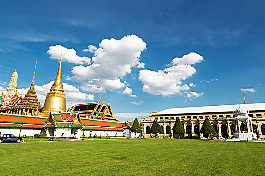 soi bach thu lo hom nay