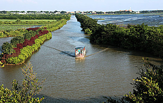 xổ số bạc liêu
