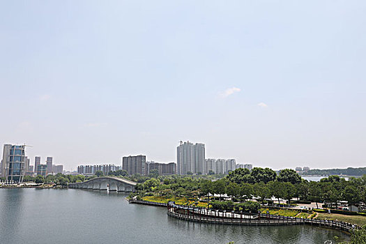 soi cau bach rong kim