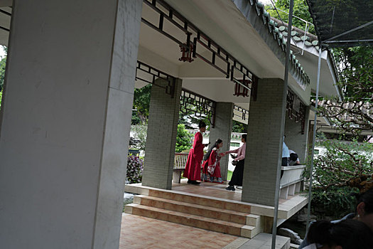 soi cau 333
