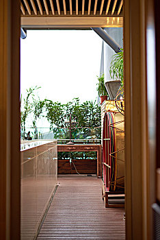 soi cau vip mien phi