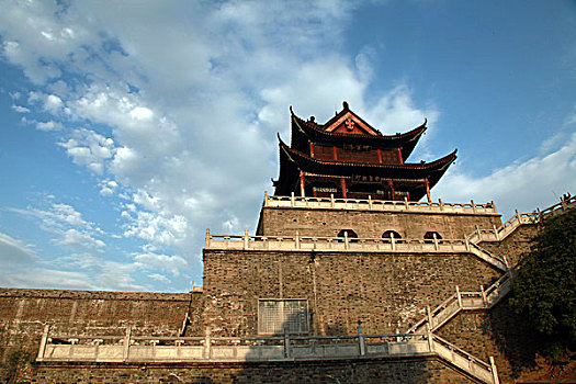bạch thủ lô