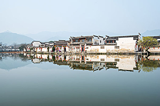 rong bach kim mb