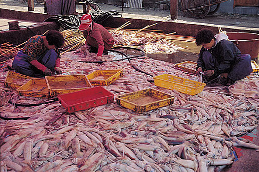 dự đoán 3 miền