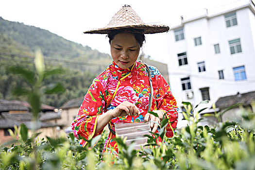 soi cầu kqxsmb