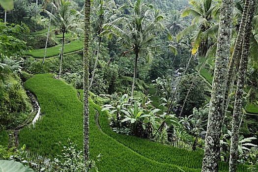 xổ số miền nam thứ 2 tuần rồi