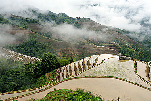 du doan xo so minh ngoc