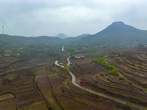 soi cầu xổ số tây ninh