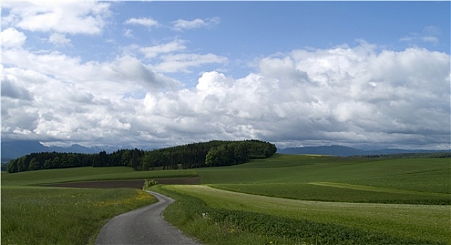 du doan atrungroi