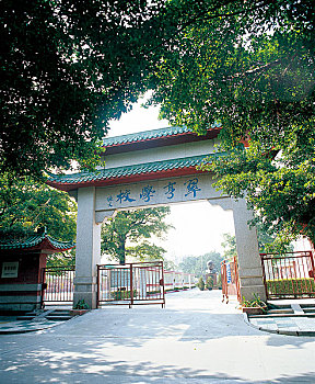 cau bach kim 666