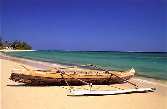 đề online