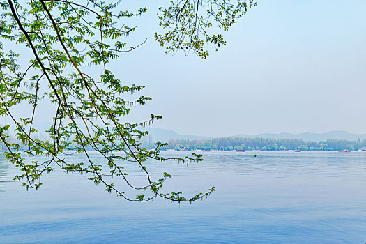 soi cầu miền bắc