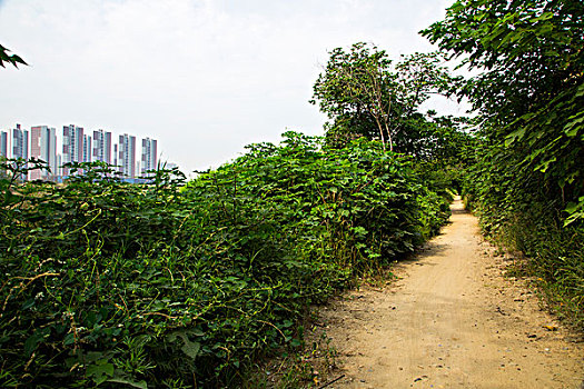 dự đoán xổ số tây ninh