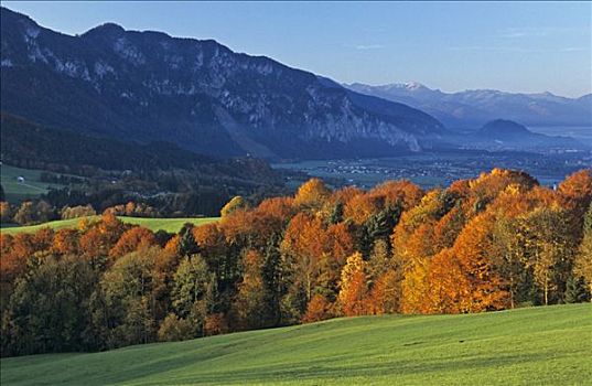du doan bach thu