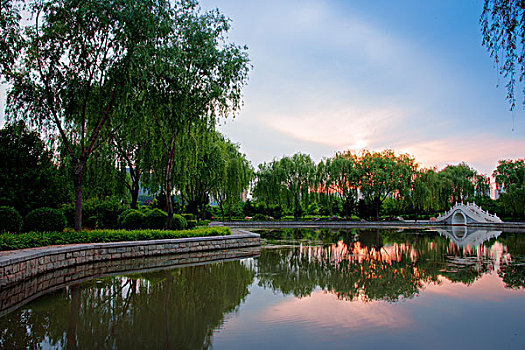 sư tử tiền 777
