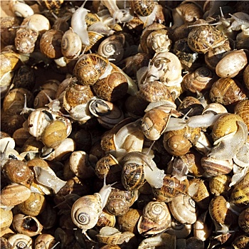 quả xổ số miền