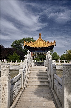soi cau 100