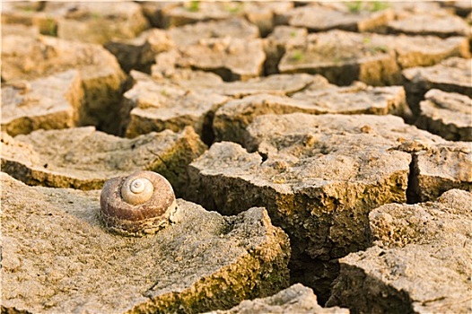 dự đoán xổ số miền nam đài phát