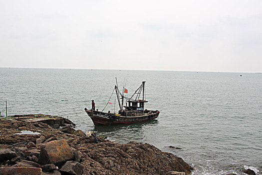 soi cau rong bach kim hom nay