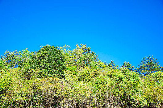 xổ số tiền giang hàng tuần