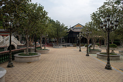 gà đá lộn