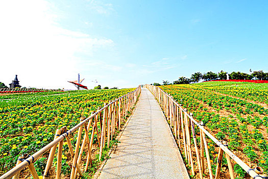 thống kê xổ số bạc liêu