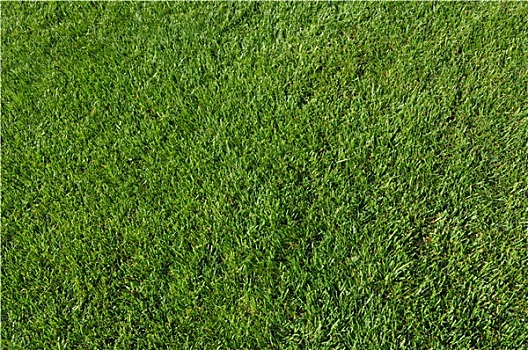 dự đoán xổ số 24h