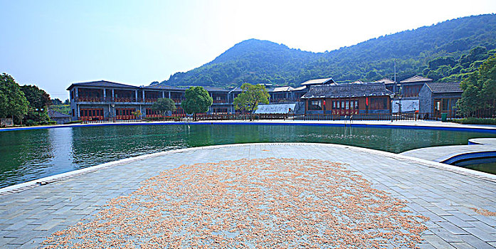 soi cầu an thông