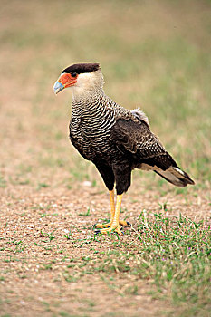 soi cầu xsmb hom nay