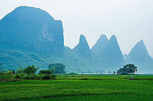 xổ số ninh thuận