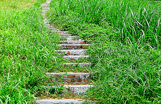 số kết quả