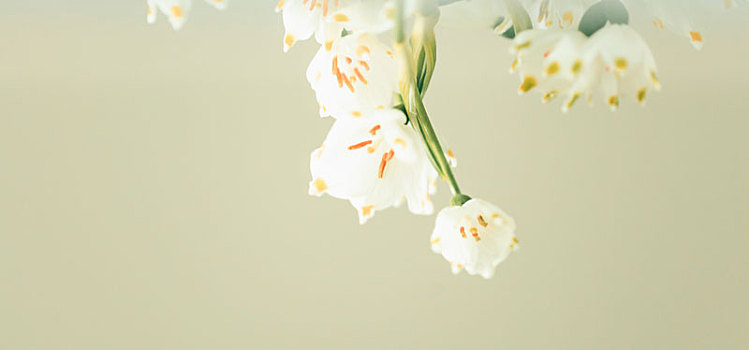 xổ số long an tuần rồi
