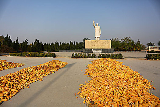 cầu đặc biệt khung 3 ngày net 88