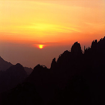 soi cau kg