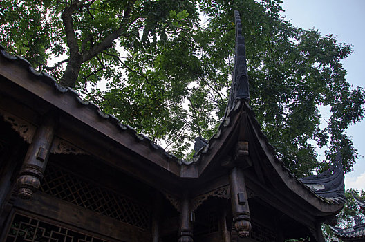 chốt số giờ vàng hôm nay