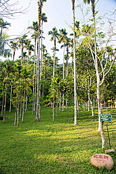 kqxs trực tiếp