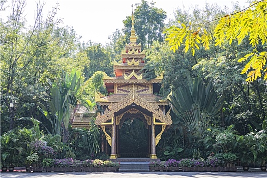 bạch thủ lô ngày hôm nay