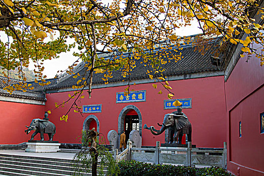 cau bach thu hom nay