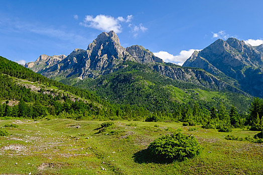 soi cau bach thu lo mb