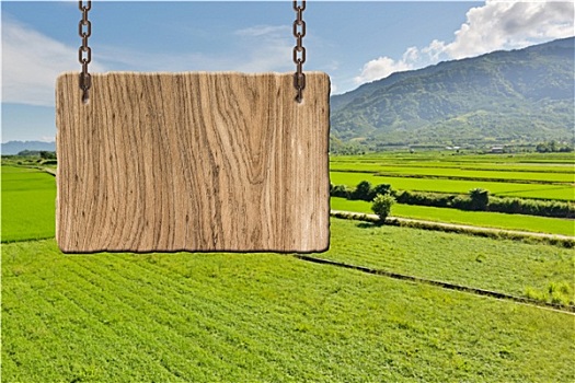 thống kê xổ số đà nẵng