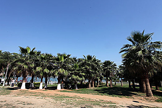 số phú yên