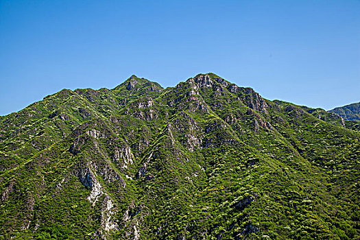 soi cau lo đe chuan
