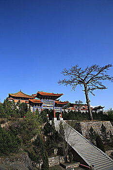 soi cầu long an